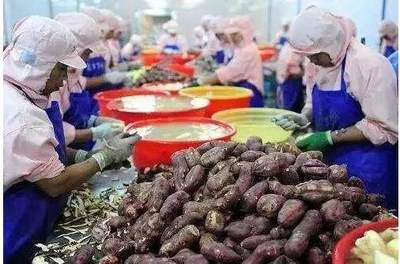 農產品加工 政策扶持與千萬商機