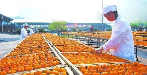 火速收藏！2018年農業項目補貼申報指南出爐！——聚焦農產品加工領域