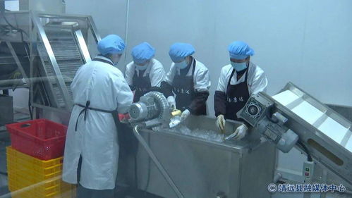 張延保調研靖遠縣農產品加工業 激發產業潛能，賦能鄉村振興