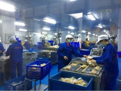 柳州鄉村振興新引擎 聚焦產業融合，擘畫農產品加工新圖景