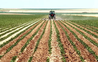 中國種養業加速向農產品加工業延伸，破解加工深度不足難題