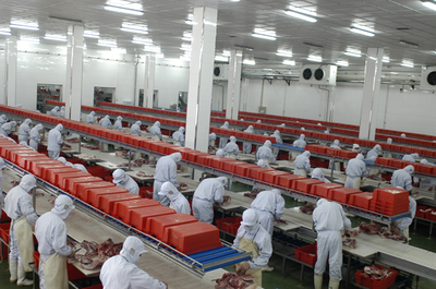 哈爾濱市榮獲“2022年上半年全省規上農產品加工營業收入先進市”稱號 能力作風建設年結碩果，農產品加工產業動力澎湃