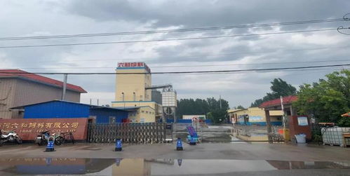 商河縣企業榮膺省級農產品加工業示范企業稱號，引領產業升級新篇章