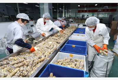 打造“第一車間” 農業農村部力推農產品精深加工，百強企業引領產業升級